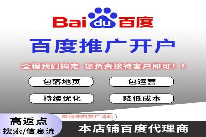 SEM搜索引擎优化成功案例，揭示优化策略与技巧